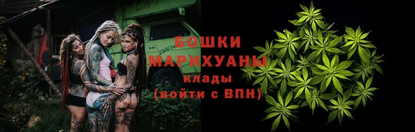 гидропоника Каменка