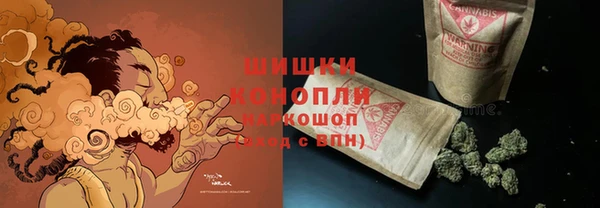 крисы Ессентукская