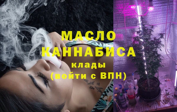 гидропоника Каменка